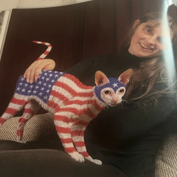 Colorful Vintage Cat Art Print Book Home Decor “Why Paint Cats” - Picture 13 of 15